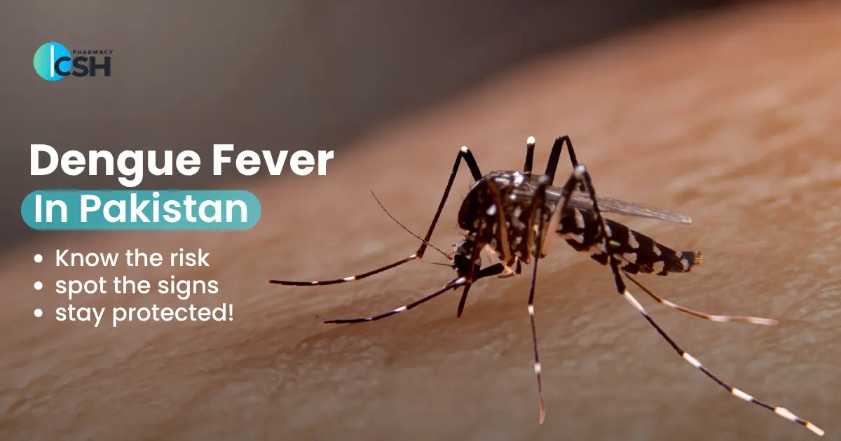 what is the Dengue symptoms in pakistan