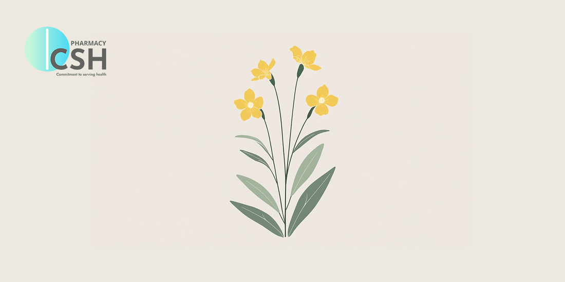 What is Evening Primrose Oil