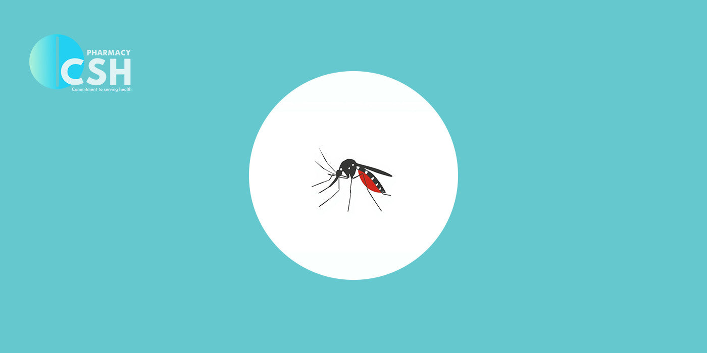 Dengue in Pakistan: A National Fight – Mandatory Precautions for Every Citizen