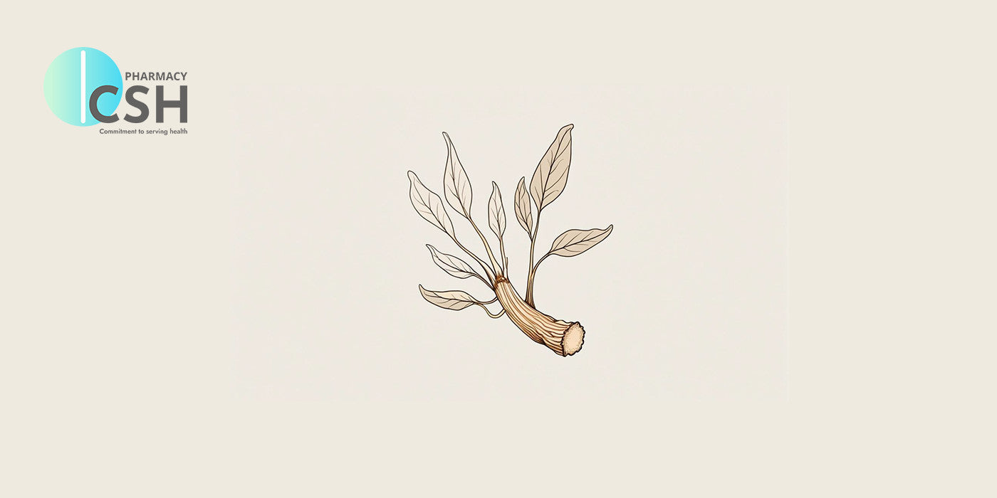 The Root of Vitality: What Does Ginseng Really Do For Your Body? – CSH ...
