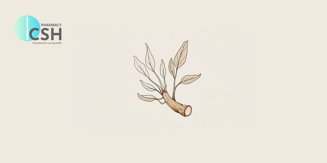 The Root of Vitality: What Does Ginseng Really Do For Your Body?