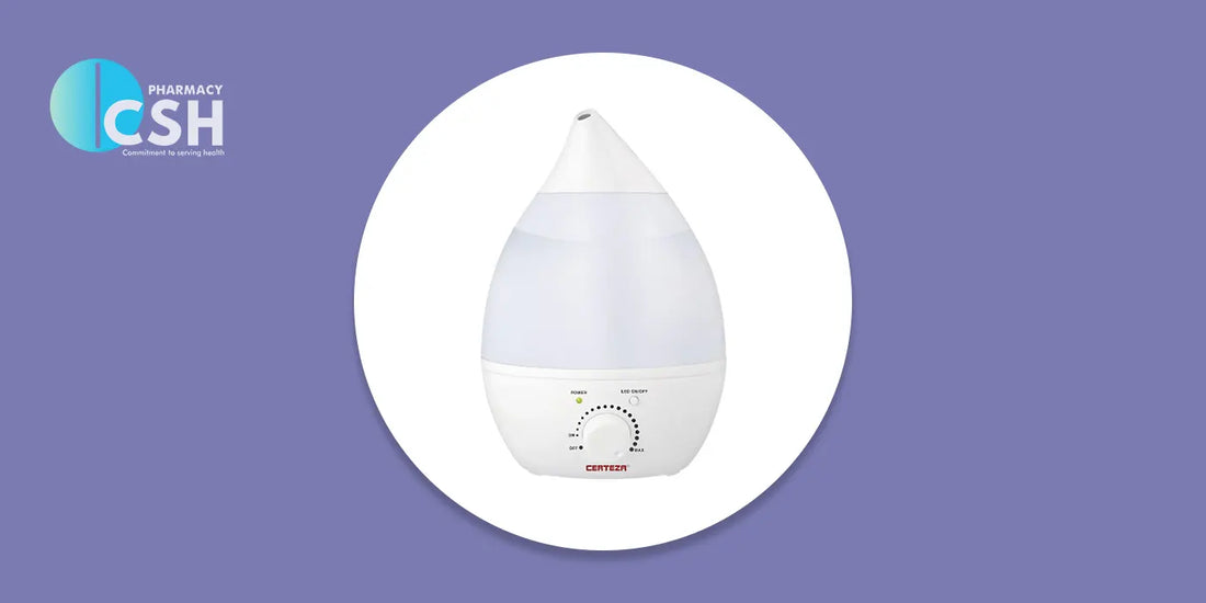More Than Just Mist: How a Humidifier Works and Transforms Your Indoor Air