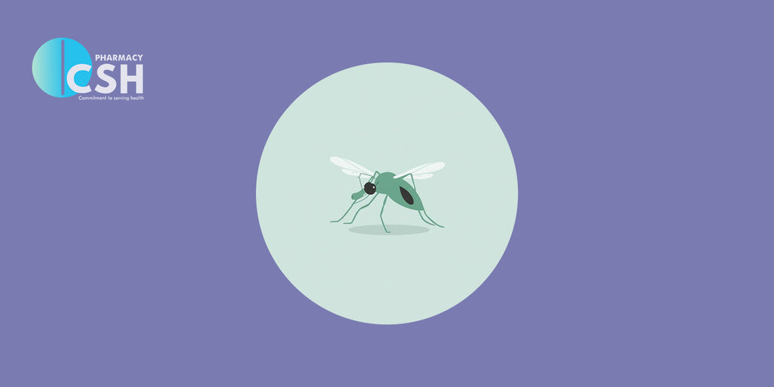 Most Malaria-Affected Areas in Pakistan