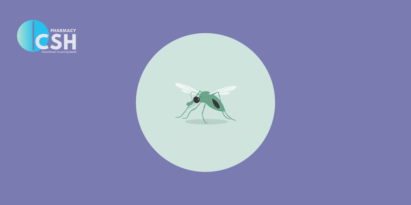 Most Malaria-Affected Areas in Pakistan