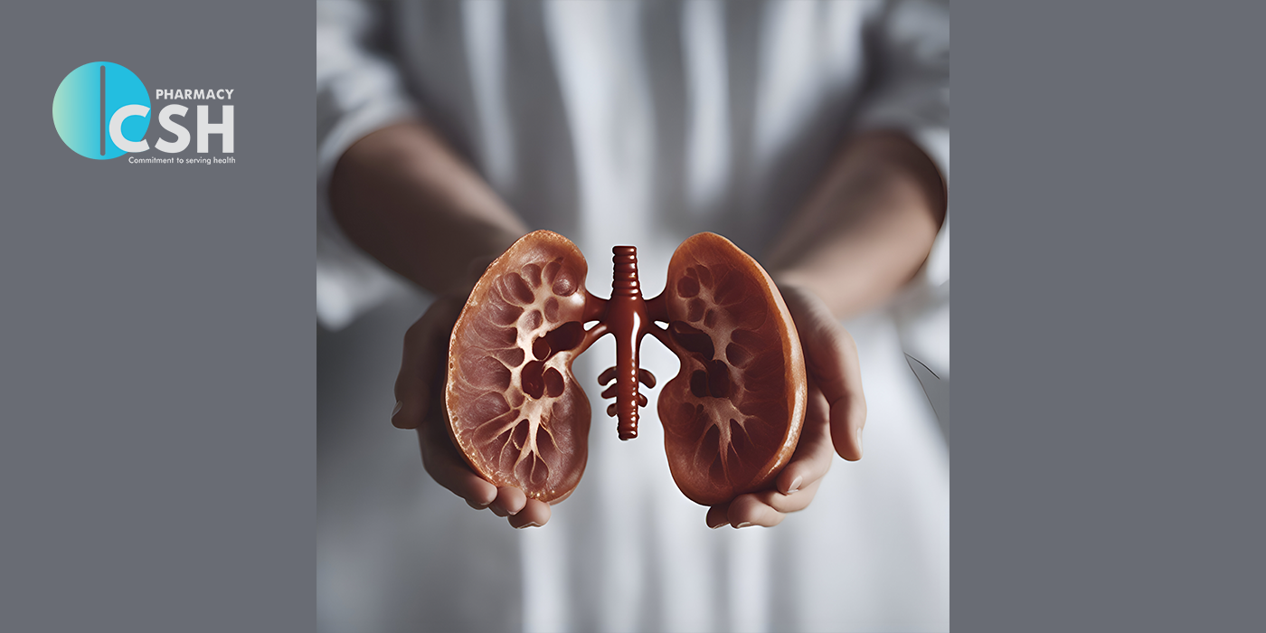 Tips to Maintain the Healthy Kidneys