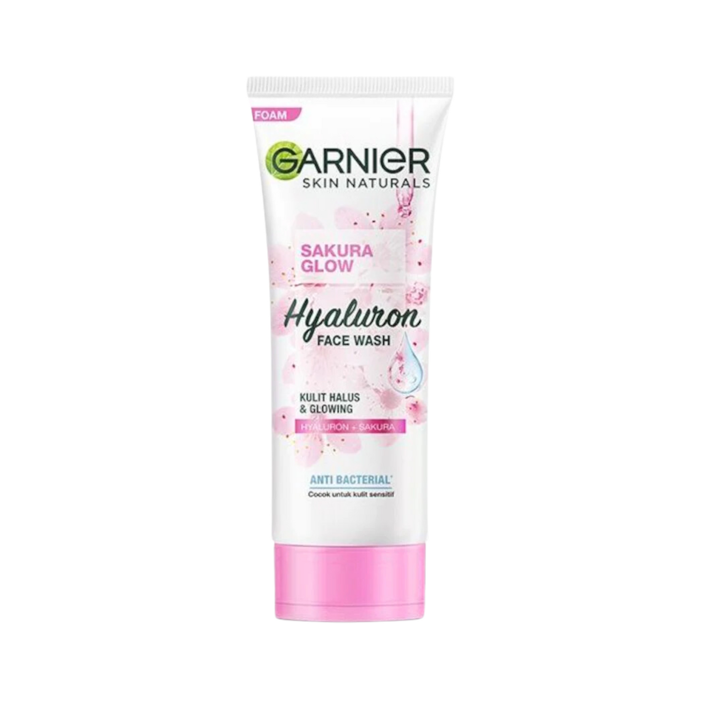 Garnier Skin Naturals Foam Face Wash 100G